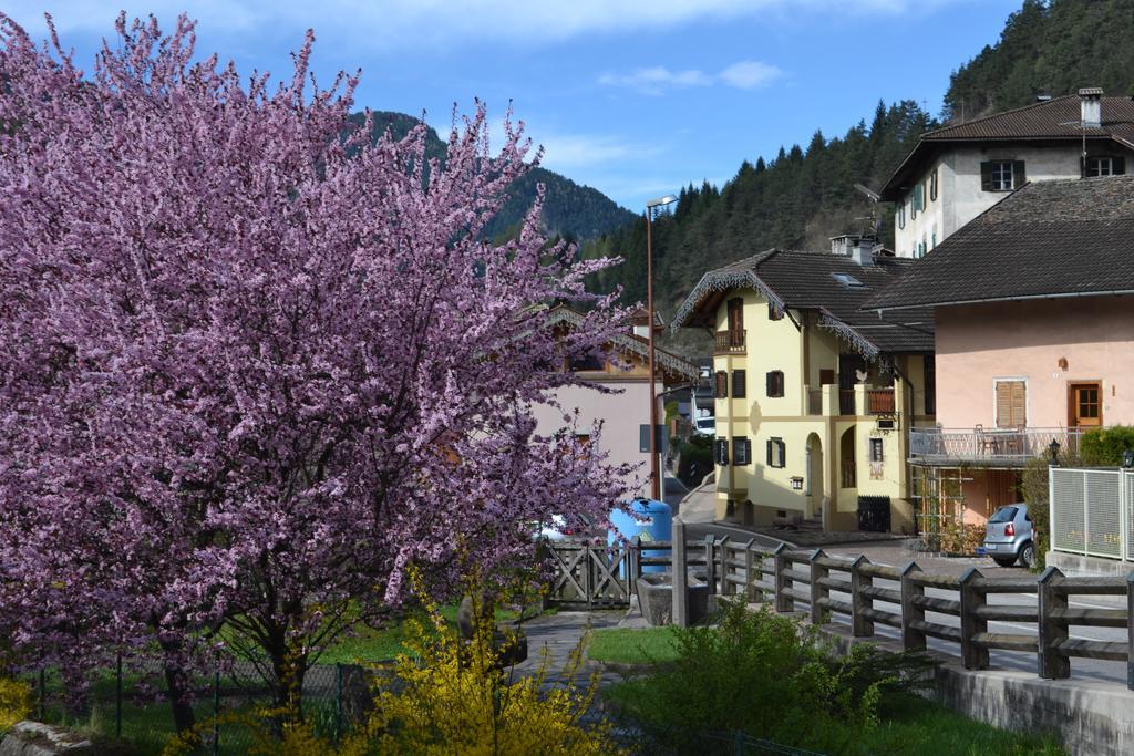 B&B La Tana Dell'Orso - Die Baerenhoehle Castello-Molina di Fiemme Bagian luar foto