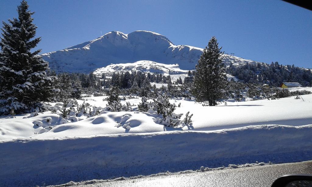 B&B La Tana Dell'Orso - Die Baerenhoehle Castello-Molina di Fiemme Bagian luar foto