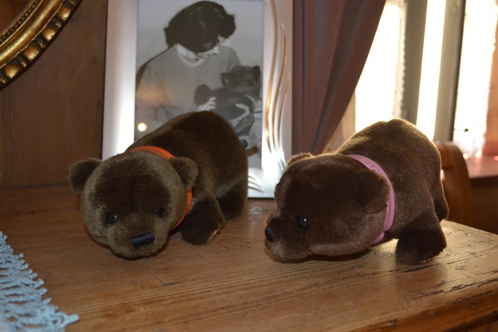 B&B La Tana Dell'Orso - Die Baerenhoehle Castello-Molina di Fiemme Bagian luar foto